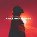 Bump Flicker, Alex Shik, Timur_SH - Falling Sense