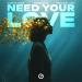 Bump Flicker, Pressplays & Whale Of Love - Need Your Love
