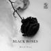 Burak Ozan - Black Roses