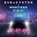 Burak Yeter & Montiego feat. Seb Mont - Oh My My