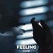 BVLVNS - Feeling