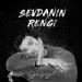 Çağan Şengül - Sevdanın Rengi
