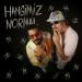 Çağrı Telkıvıran & Ege Çubukçu - Hangimiz Normal