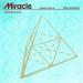 Calvin Harris & Ellie Goulding - Miracle (Acraze Remix)