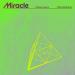 Calvin Harris & Ellie Goulding - Miracle