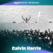 Calvin Harris feat. Rihanna - This Is What You Came For (Calvin Harris VIP Mix) (Amazon Music Original)