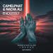 CamelPhat feat. Nadia Ali - Endlessly