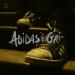 Carlas Dreams - Adidasii Gri