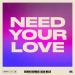 Cedric Gervais, Alex Mills - Need Your Love