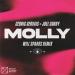 Cedric Gervais & Joel Corry - Molly (Will Sparks Remix)