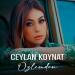 Ceylan Koynat - Özlemden