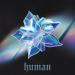 Cheat Codes - Human