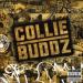 Collie Buddz - Come Around