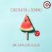 Constantin feat. Domino - Watermelon Sugar (BB Team Edit) 
