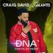 Craig David feat. Galantis - Dna (Sam Feldt Remix)