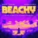 Daddy Yankee feat. Omar Courtz - Beachy (Play-N-Skillz House Remix)