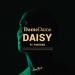 Dame Dame x Wonder - Daisy