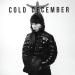 Dan White - Cold December