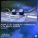 Danko - Pump It Up (Tigerlily x Rudeejay & Da Brozz Remix)
