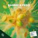 Dannic feat. Fedo - Lemongotti