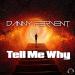 Danny Fervent - Tell Me Why (Radio Edit)