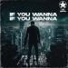Danyro - If You Wanna