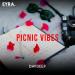 DavDeep - Picnic Vibes