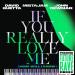 David Guetta & MistaJam & John Newman - If You Really Love Me (How Will I Know) (David Guetta & MORTEN Future Rave Remix)