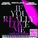 David Guetta & MistaJam & John Newman - If You Really Love Me (How Will I Know) (Marten Hørger Remix)