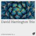 David Harrington Trio - On the Sunny Side of the Street