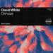 David White - Darvaza