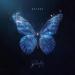 Dayana - Butterfly