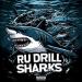 DDRED - RU DRILL SHARKS