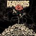 Deadbirds - Поворот