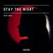 Deep Surr - Stay The Night