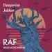 Deeperise feat. Jabbar - Raf (Space Motion Remix)