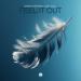 Dennis Sheperd feat. Liset Alea - Feel It Out