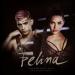 Diana Brescan feat. Frijo - Felina (Chopin Beats Remix)