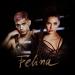 Diana Brescan feat. Frijo - Felina