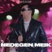 DIDAR - Nedegen meik