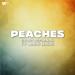 Diljit Dosanjh feat. Anne-marie - Peaches