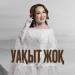 Dinara Kemelkhan - Уақыт жоқ