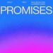 Diplo feat. Paul Woolford & Kareen Lomax - Promises