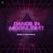 DISCOTECHNIKA - Dance In Moonlight