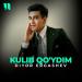 Diyor Ergashev - Kulib Qo'ydim