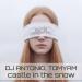 Dj Antonio & TomYam - Castle in the Snow