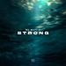 DJ Gamid - Strong