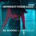 DJ Groove, Chris Willis - Without Your Love