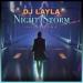 Dj Layla, Radu Sirbu - Night Storm (Radu Sirbu Remix)