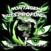DJ MAXZZ, DJ JL3 DA ZN & DJ CD 011 - Montagem Vozes Profundas (Ultra Slowed)